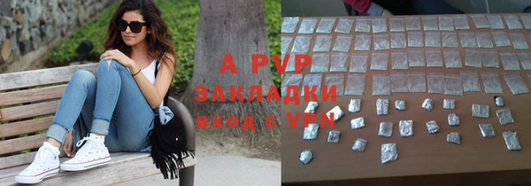 гидра Билибино