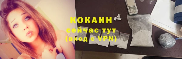бошки Бикин