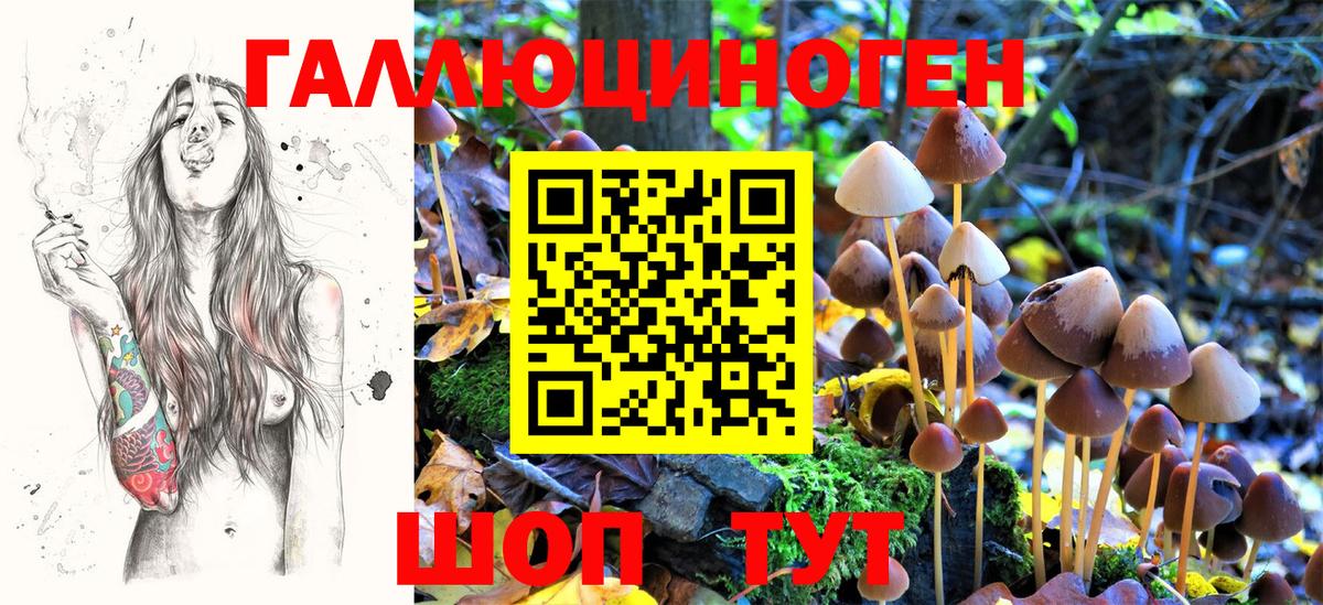 Галлюциногенные грибы Psilocybe  Вход с VPN  Надым  Галлюциногенные грибы Cubensis 