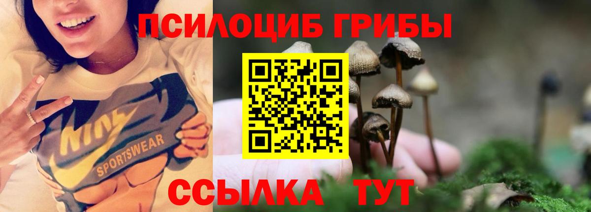 Псилоцибиновые грибы MAGIC MUSHROOMS Надым