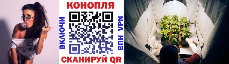 купить  сайты  Надым  Бошки Шишки семена 